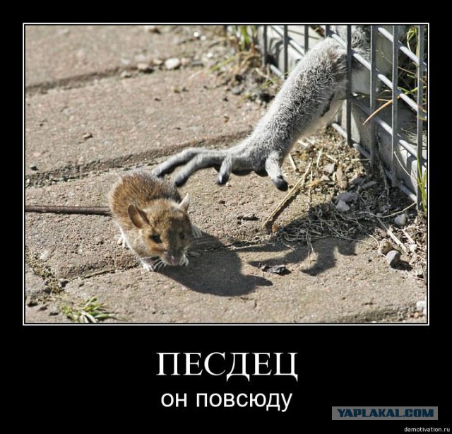 В Пятницу Знаки Они Повсюду Картинки