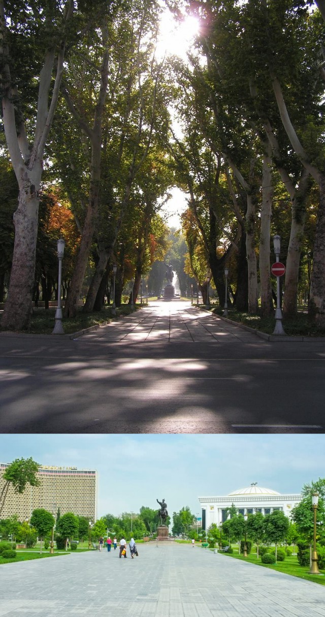 История в фотографиях
