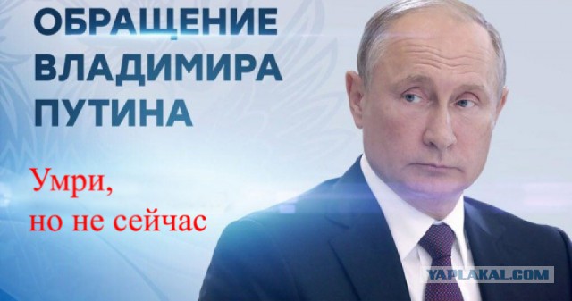 Прямая трансляция обращения В.В.Путина
