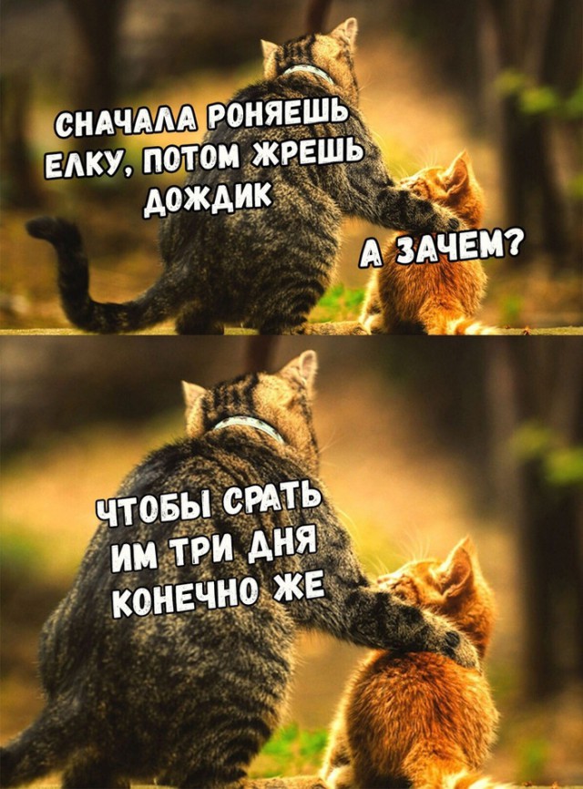 Чо ты такой серьёзный?