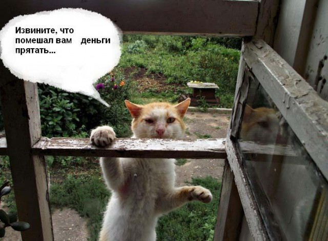 Петрович займи опохмелиться!