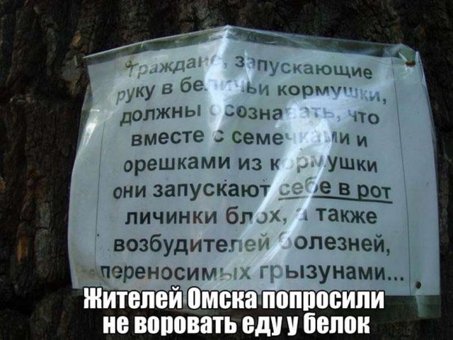 Древние мемы с ВК. Для тех кто забыл #5
