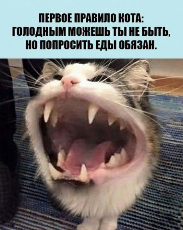 Позитивные картинки на 05.12.20