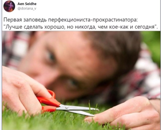 Картинки и мемы для настроения 006
