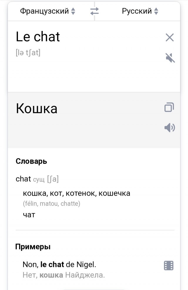 Бредзона 08.02.2021