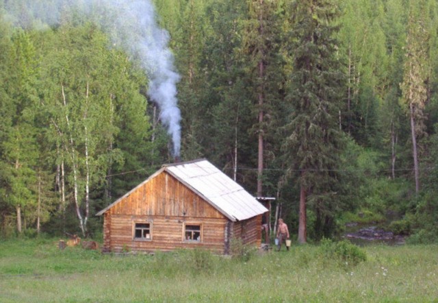 Дома на опушке леса