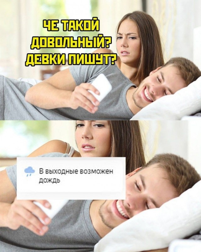 15725077.jpg
