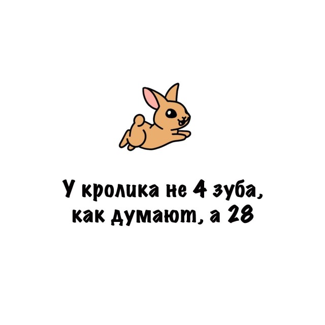 Картинки на субботу