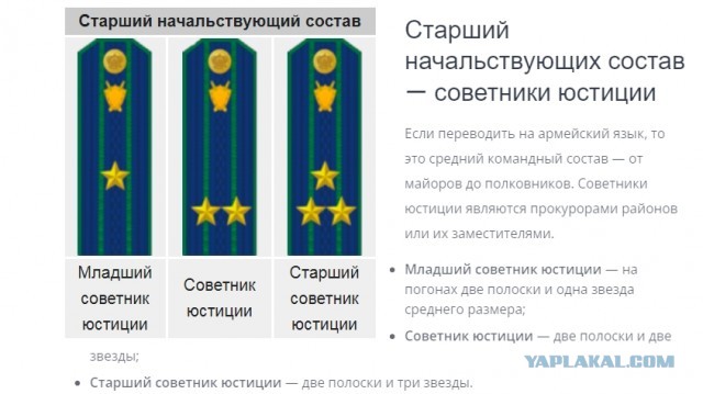 Детская мечта Ирины Волк