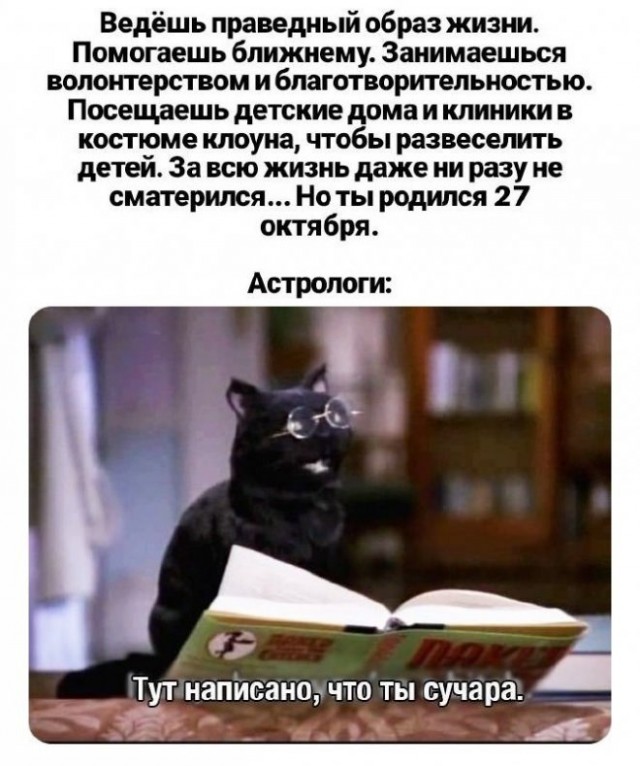 Картинки и мемы для настроения 27.01.2022