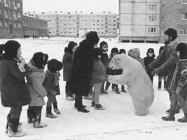 Кругозор