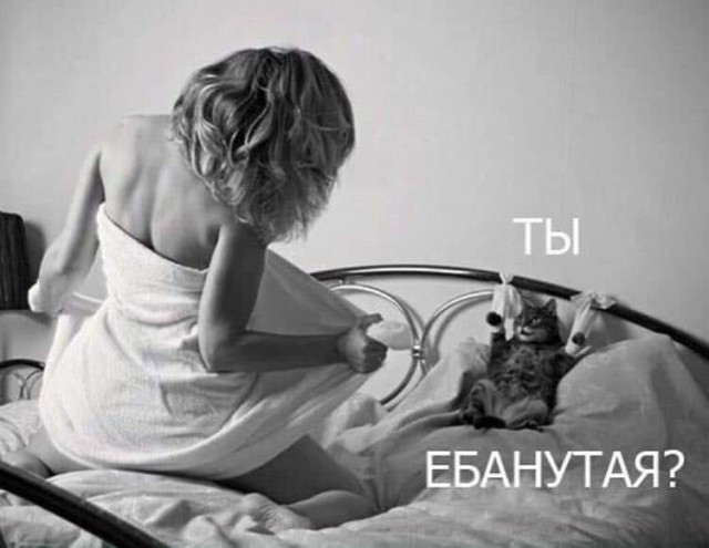 Чуток картинок 27.03.22
