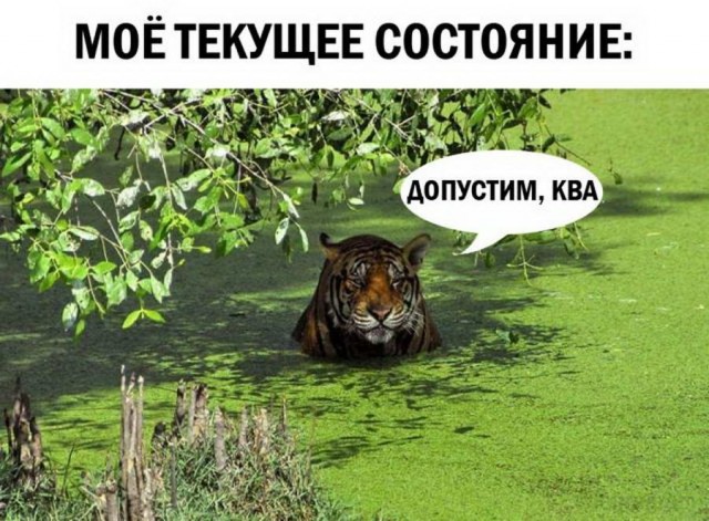 50 оттенков серого.  Vol.14 Или самосвал баянов