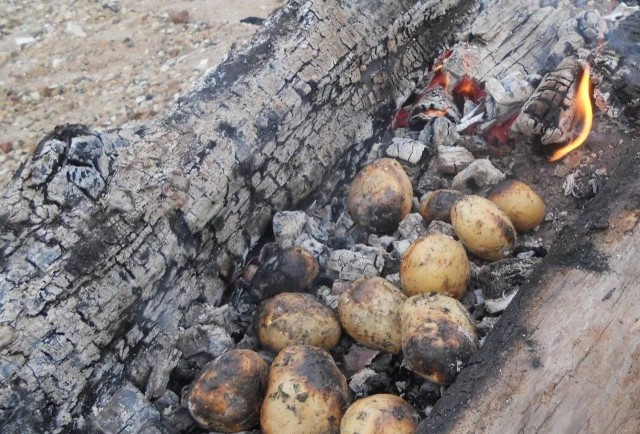 Картинки разные 20.06.22