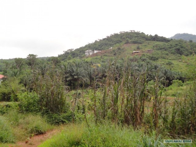 Путешествие в Сьерра-Леоне