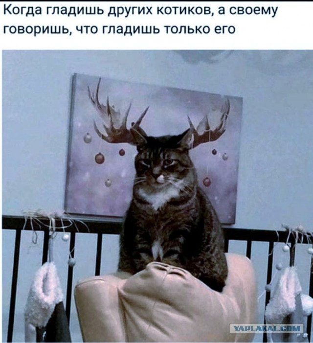 А что вообще в мире делается?