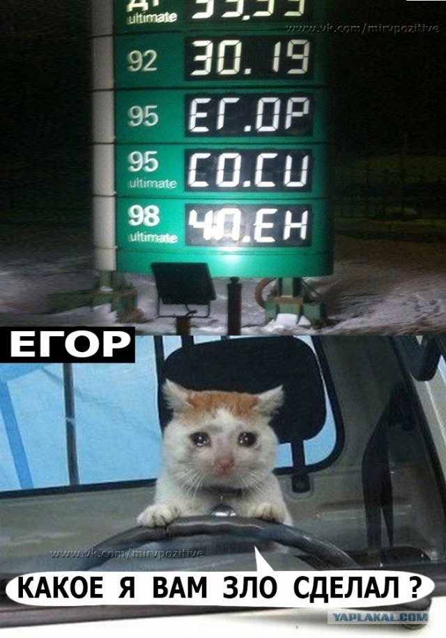 Это был тяжелый год