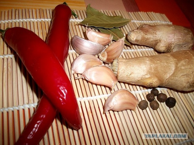 Острые томатные супы, Mitsv + FrauMarta = помидор