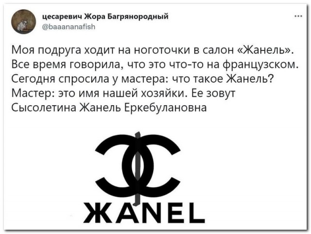 Забавные комментарии из социальных сетей (19.12.22)