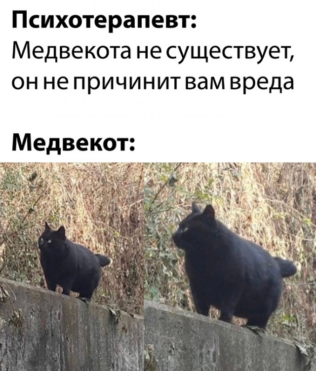 Картинки и мемы для настроения - 015