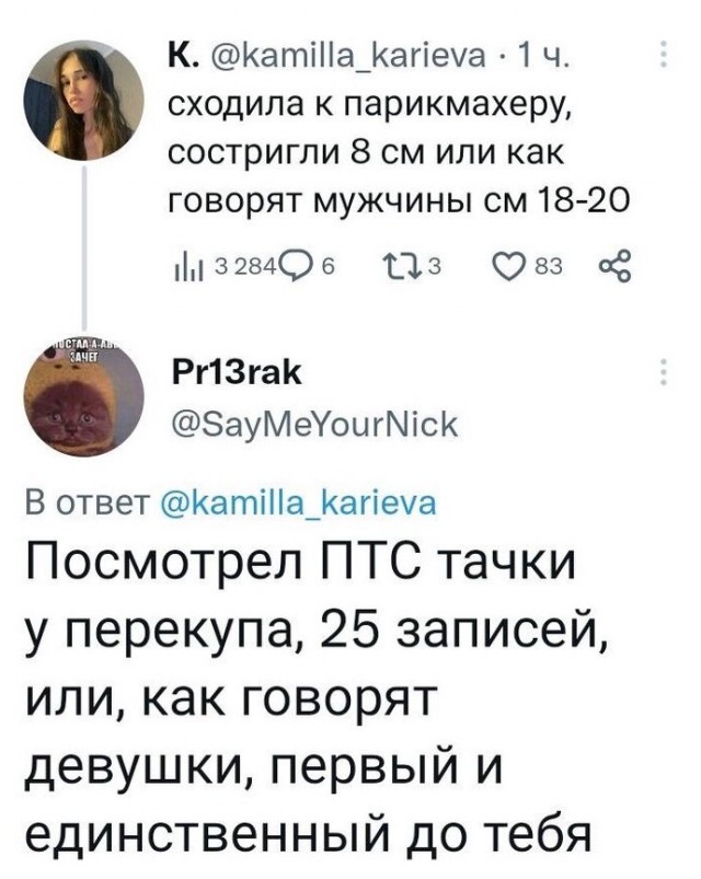 Приколы (баяны)