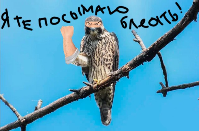 Я тебе поснимаю!