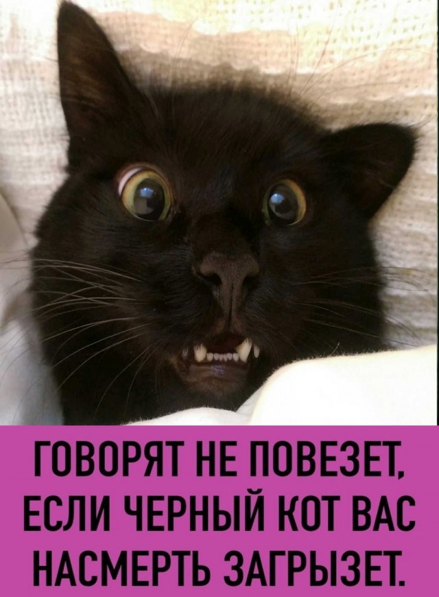 Немного картинок для настроения