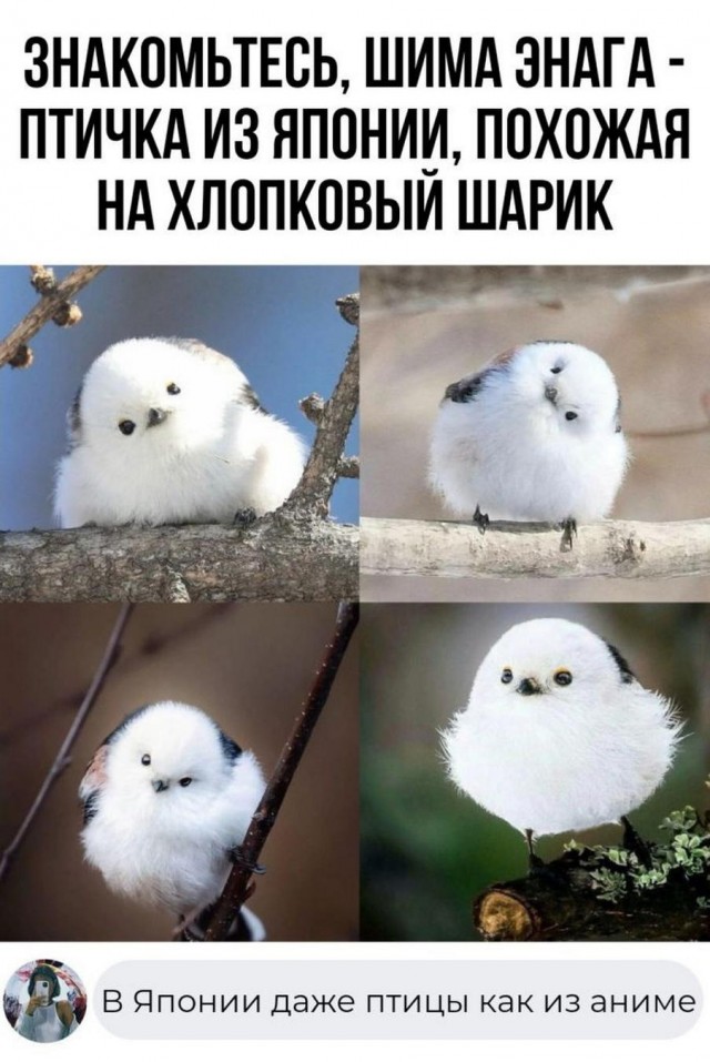 Немного картинок для настроения - 135