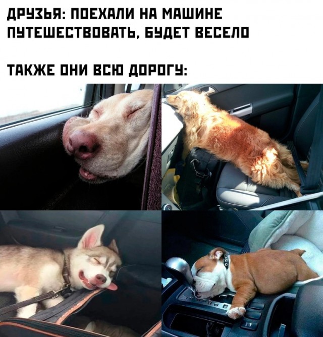Немного картинок для настроения - 177