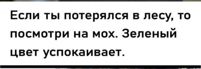 Нуштош 20.09.2023