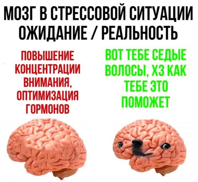 Отмена деградации V. Околонаучные картинки
