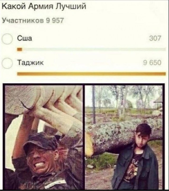 Дристоль два ноль