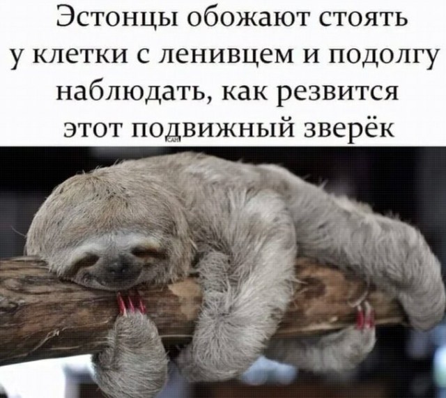 Таллин, возле аэропорта