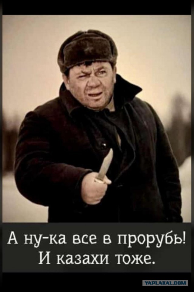Фото дня