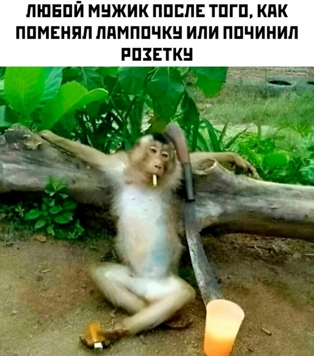 Весёлый полтишок 04.03.24