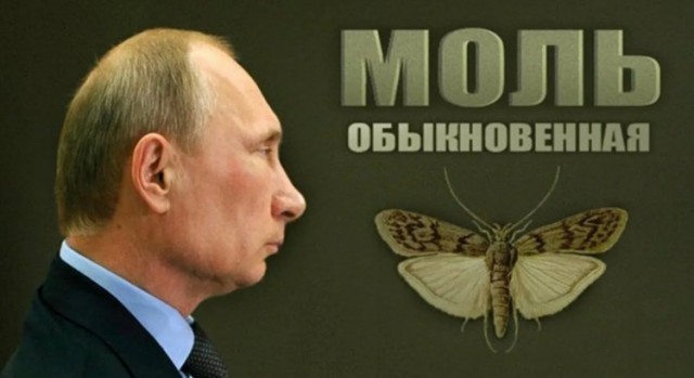 Фото дня!
