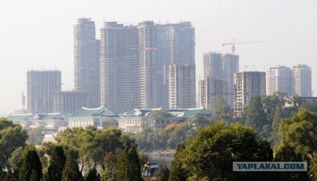 Товарищ Ким Чен Ын