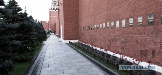 Вот вам всем, а не конституция!