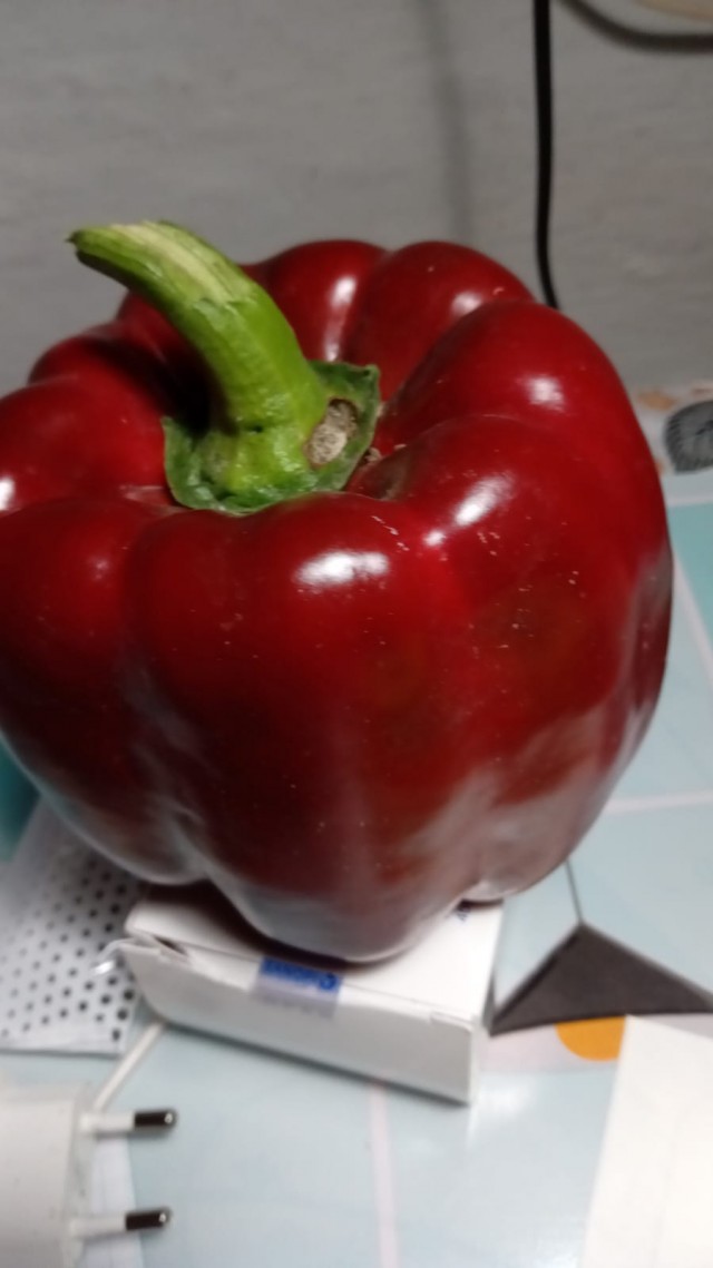 Сентябрь, и снова о перцах