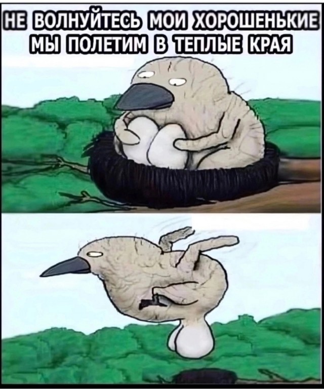 Завалялось тут случайно немного забавных картинок
