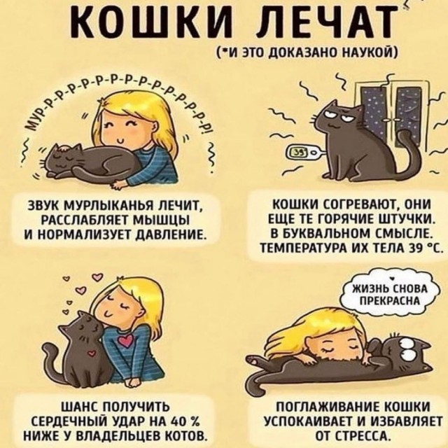 Конечно коту я доверяю