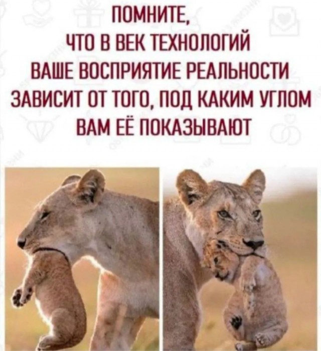 Завалялось тут случайно немного забавных картинок