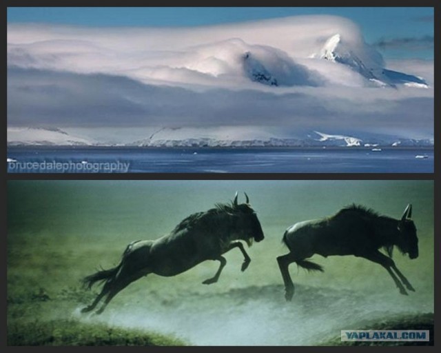 Письмо из США.