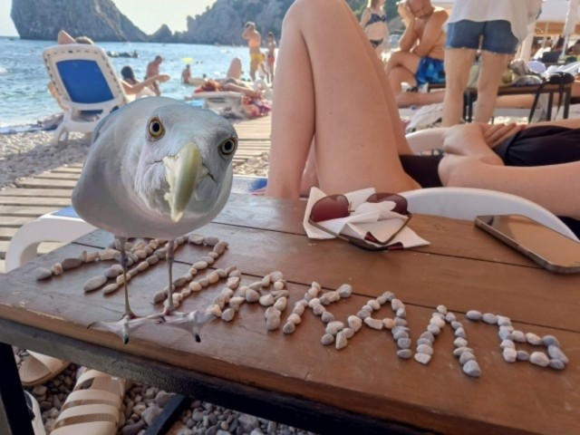 Мы везде