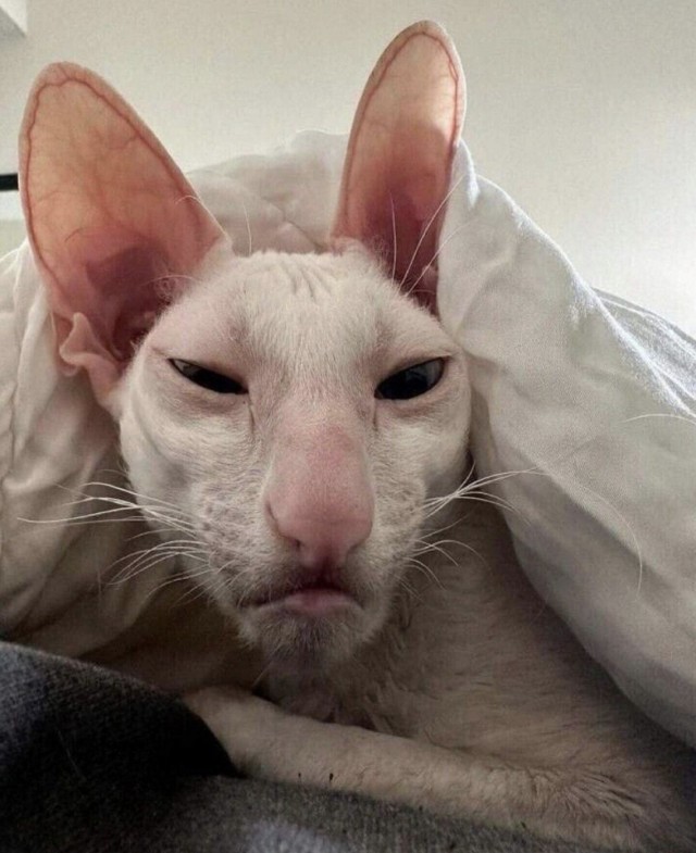 Если бы у утра было лицо, то выглядело бы оно примерно вот так