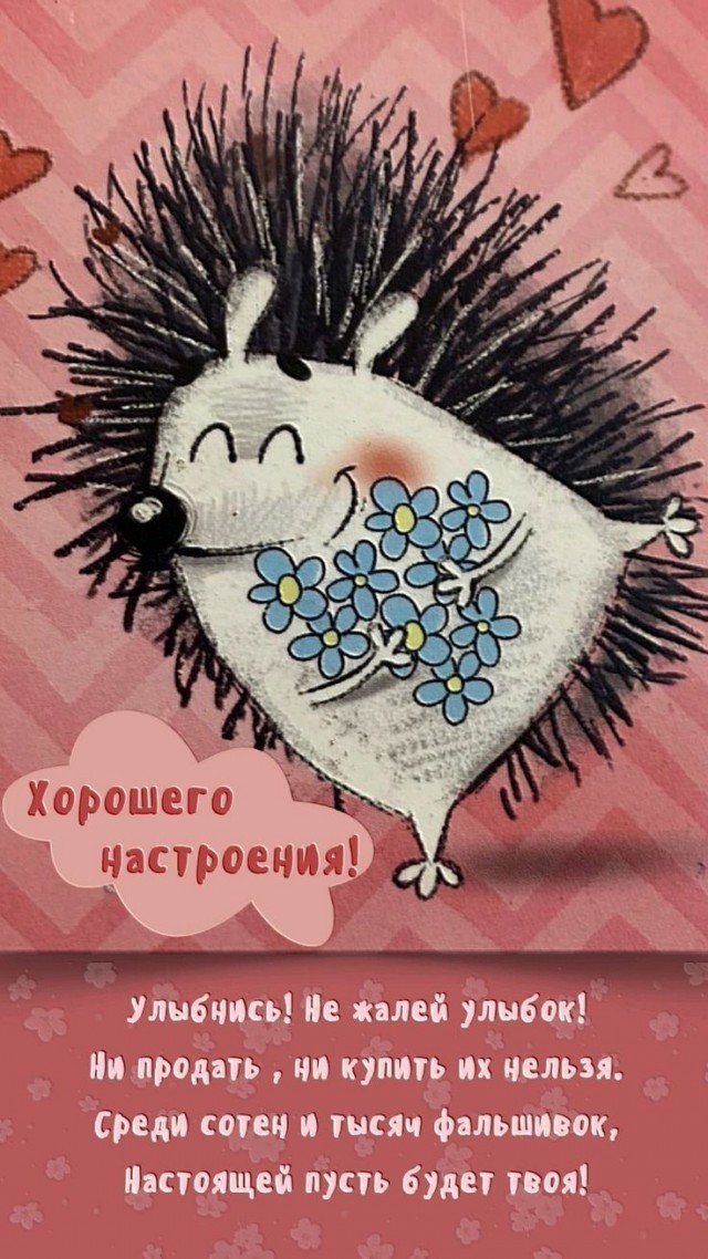 Прикольные и просто красивые картинки 07.10.2025