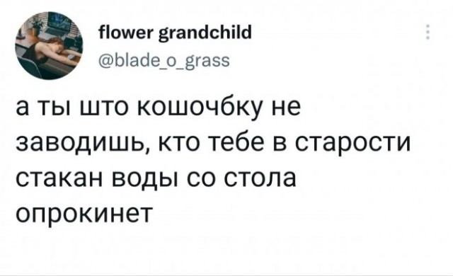 Веселые картинки в маленькую пятницу (22.10)