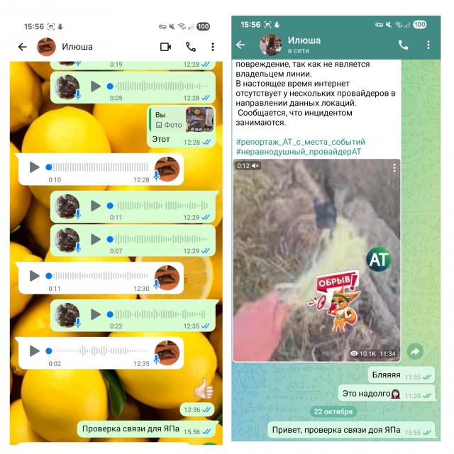На Кубани второй день не работают Telegram и WhatsApp*