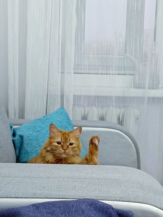 Добрый вечер