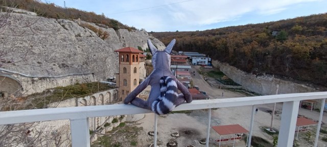 Прогулка по лесу с ножом и блеском в глазах в Крыму